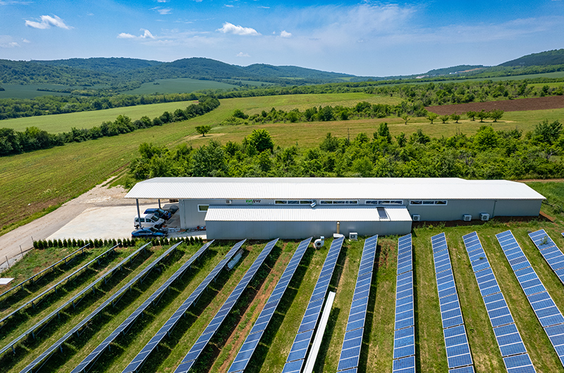 vikinuts-home-image-2